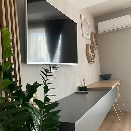 Anda3 * Mamaia